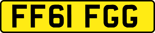 FF61FGG