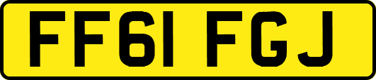 FF61FGJ