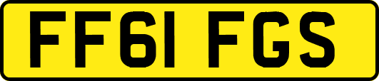FF61FGS