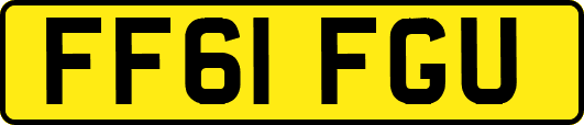 FF61FGU