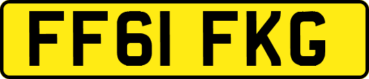 FF61FKG