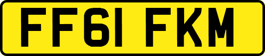 FF61FKM