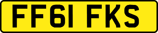 FF61FKS