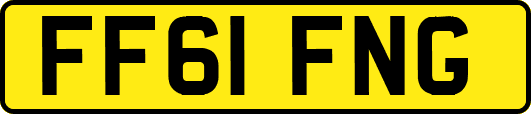 FF61FNG