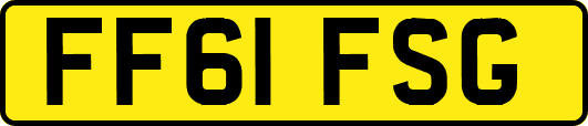 FF61FSG