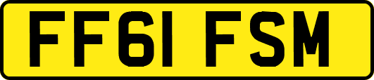 FF61FSM