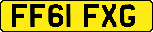 FF61FXG