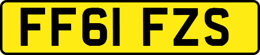 FF61FZS