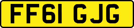 FF61GJG