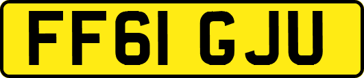FF61GJU
