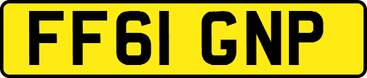 FF61GNP