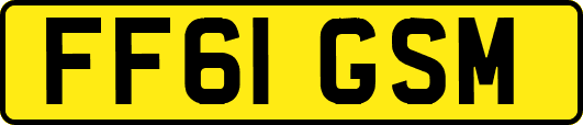 FF61GSM