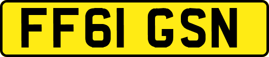 FF61GSN