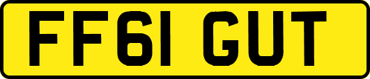 FF61GUT