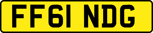 FF61NDG