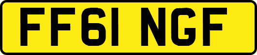 FF61NGF