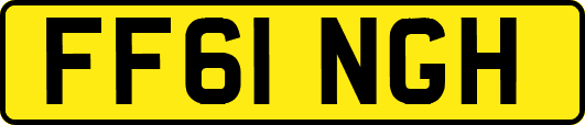 FF61NGH