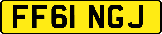 FF61NGJ