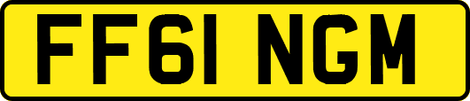 FF61NGM