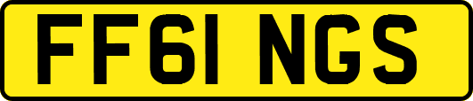 FF61NGS