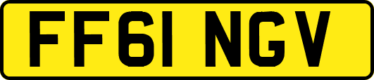 FF61NGV