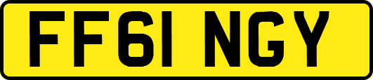 FF61NGY