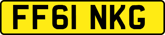 FF61NKG