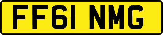 FF61NMG