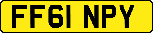 FF61NPY