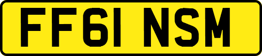 FF61NSM