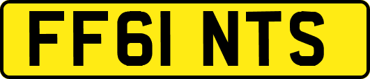 FF61NTS