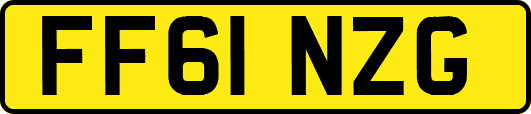 FF61NZG