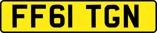 FF61TGN