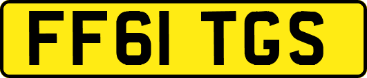 FF61TGS
