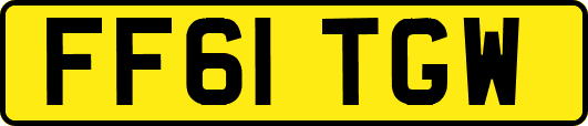 FF61TGW