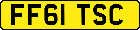 FF61TSC