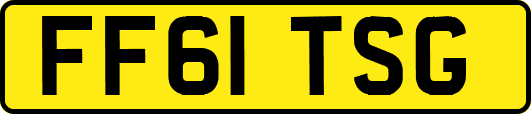 FF61TSG