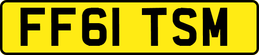 FF61TSM