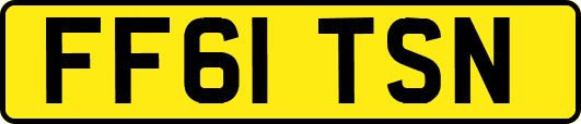FF61TSN