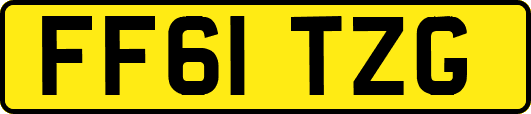 FF61TZG