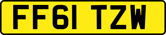 FF61TZW