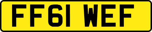 FF61WEF