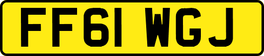 FF61WGJ