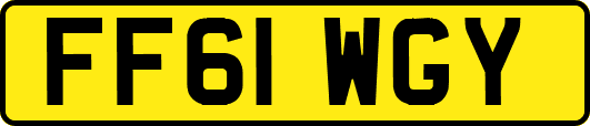 FF61WGY