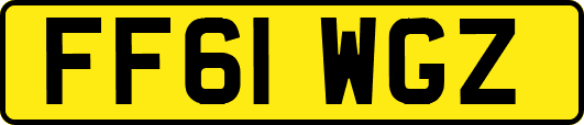 FF61WGZ