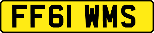 FF61WMS