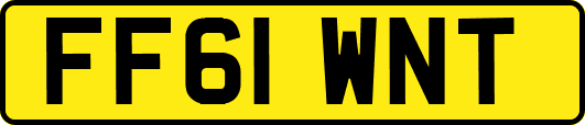 FF61WNT