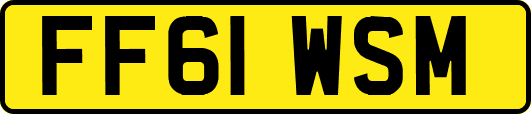 FF61WSM