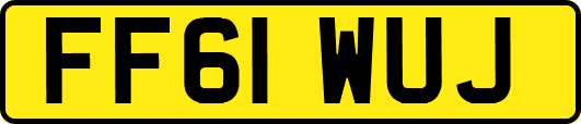 FF61WUJ