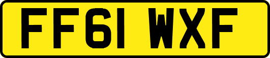 FF61WXF